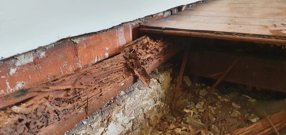 Termite Damage Subfloor Wembley WA