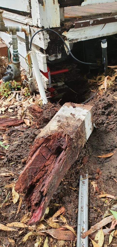Timber Rot Stumps Perth